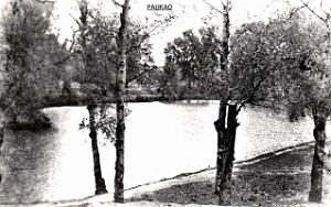 Palikao 618